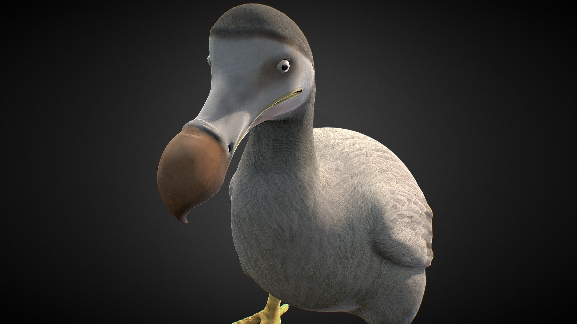 Dodo [ Extinct Bird ]