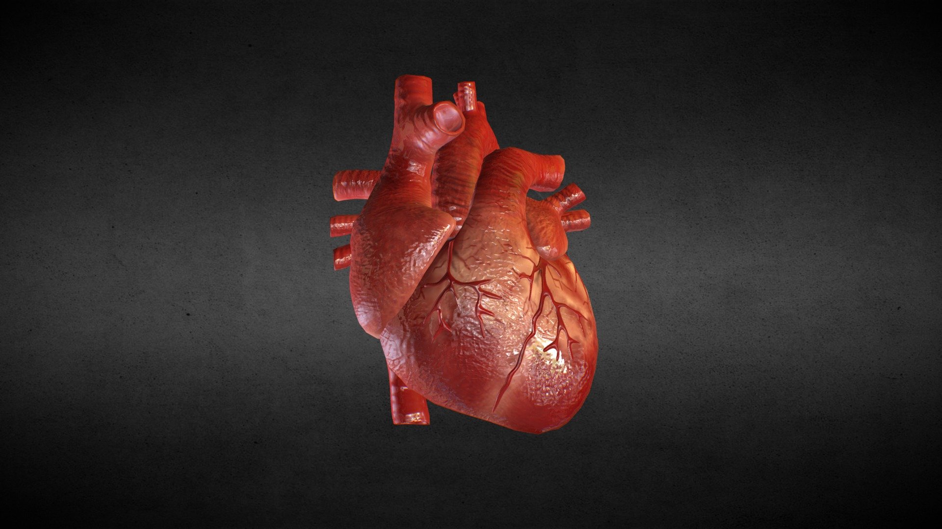 [Animation] Human Heart